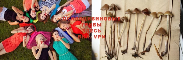 стафф Семёнов